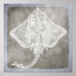 https://rlv.zcache.com/coastal_watercolor_sting_ray_skate_pewter_neutral_poster-refc04d44fbc444d091c4875e571292ab_q9e_8byvr_307.jpg