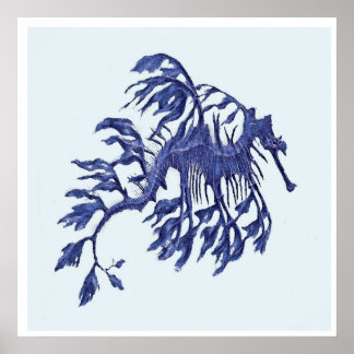 Coastal- Weedy Sea Dragon Poster