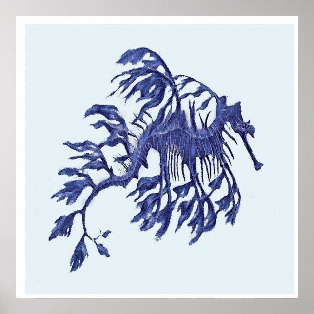 Coastal- Weedy Sea Dragon Poster (Front)