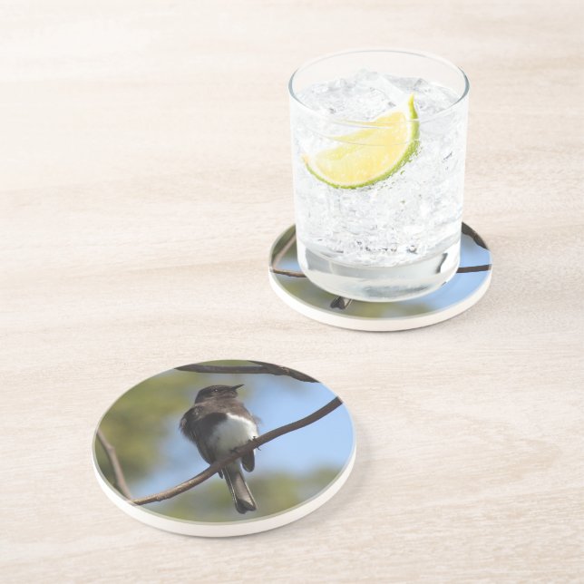 Coaster - Flycatcher (Side)