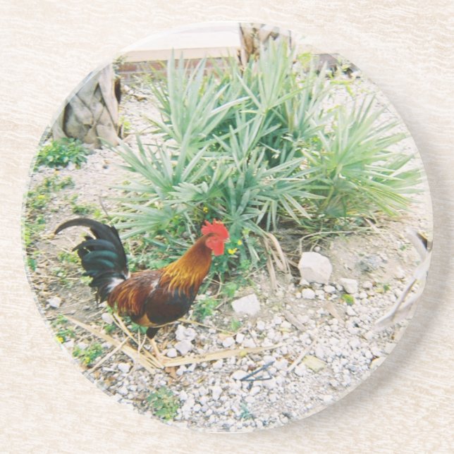 Coaster_Rooster Drink Coaster (Front)