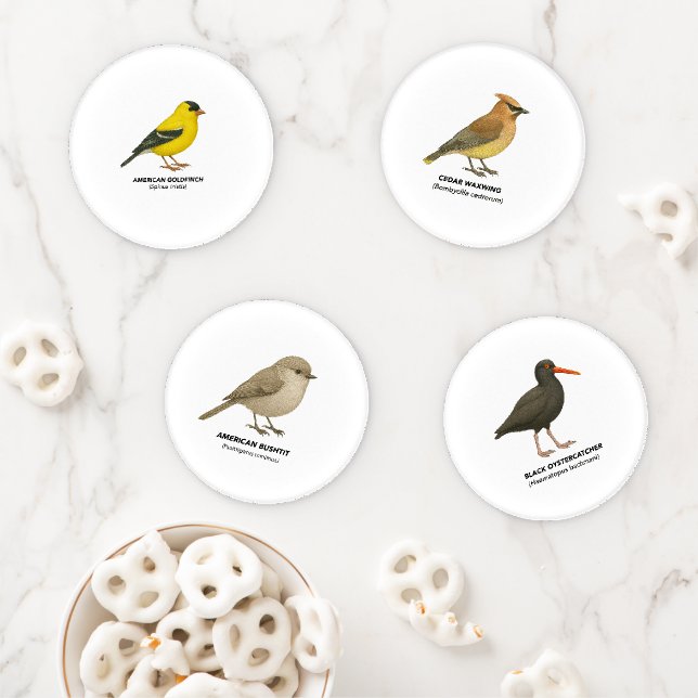 Coaster Set (In Situ)