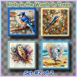 COASTER SET (4) - Birds in the Woods in Trees #2