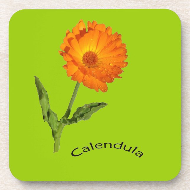 Coaster set - Calendula (Front)