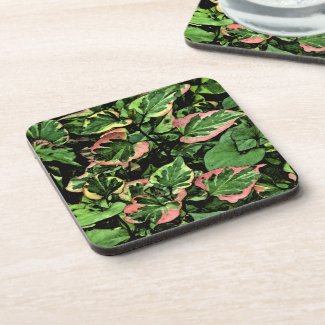 coaster set, CHAMELEON PLANT/GREEN AND PINK LEAVES