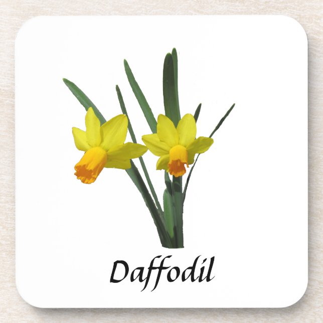 Coaster set - Daffodil (Front)