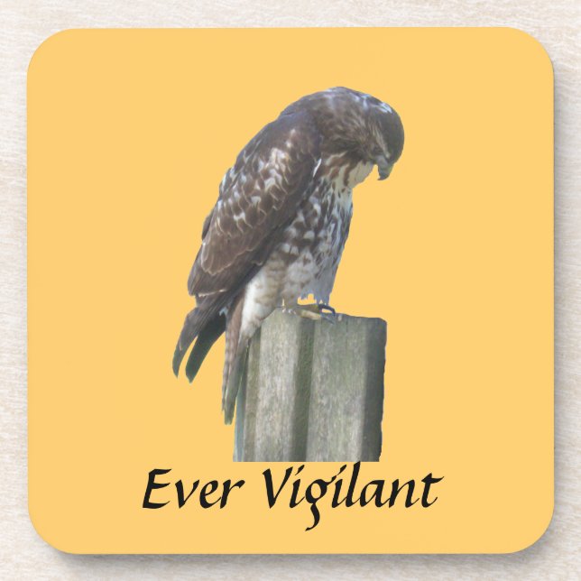 Coaster set - Falcon - Ever Vigilant (Front)