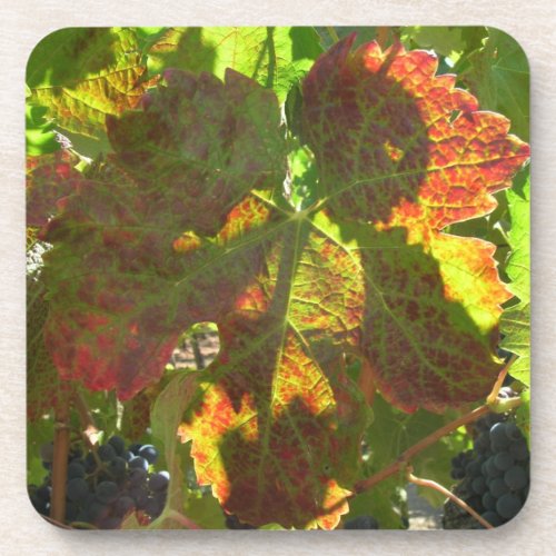 Coaster set _ Grape leaf