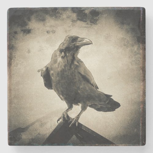 Coaster Vintage Portrait of Proud Black Raven