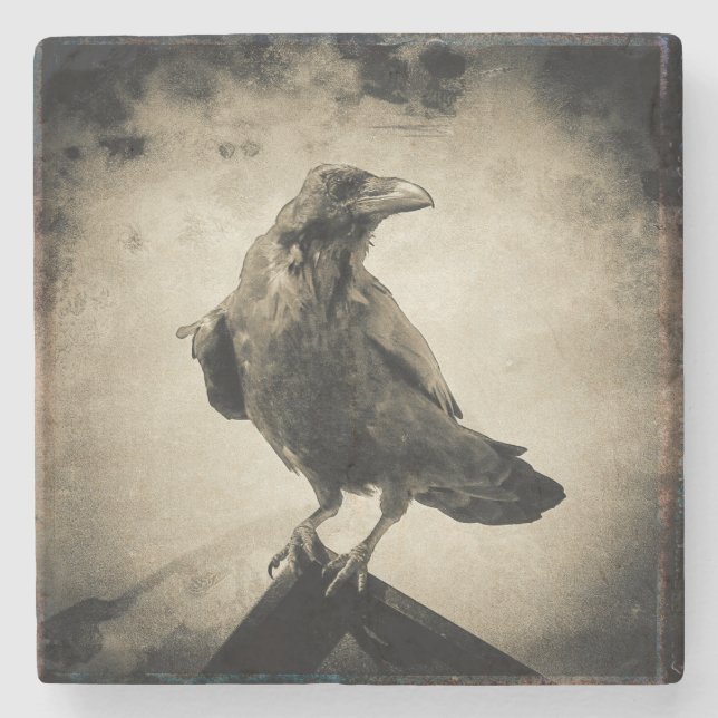 Coaster Vintage Portrait of Proud Black Raven (Front)