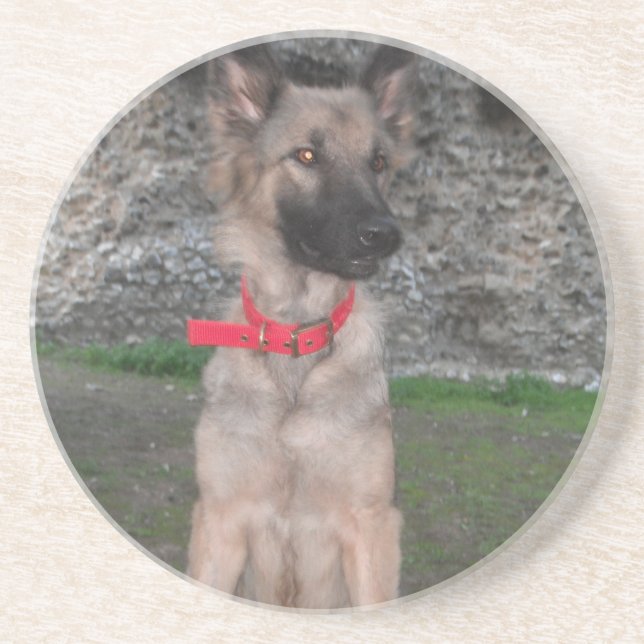 Coaster With German Shepherd (Front)
