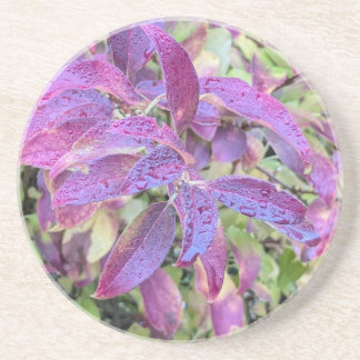 Coaster with leaves