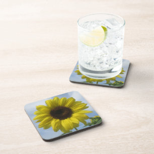 Coasters - Hard Plastic - Sunflower Summer Sky