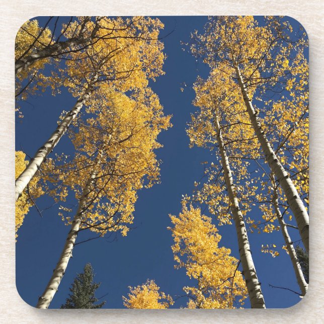 Coasters offering a taste of colorful Colorado  (Front)