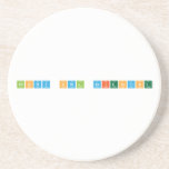 Snowy Owl Scientist  Coasters (Sandstone)