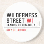 Wilderness  Street  Coasters (Sandstone)