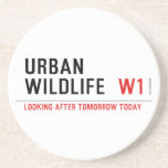 URBAN WILDLIFE   Coasters (Sandstone)