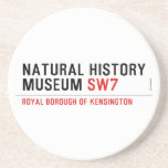 natural history museum  Coasters (Sandstone)