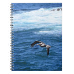 Coasting Pelican Notebook