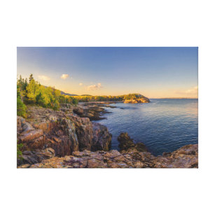 Coastline   Acadia National Park, Schooner Head Canvas Print