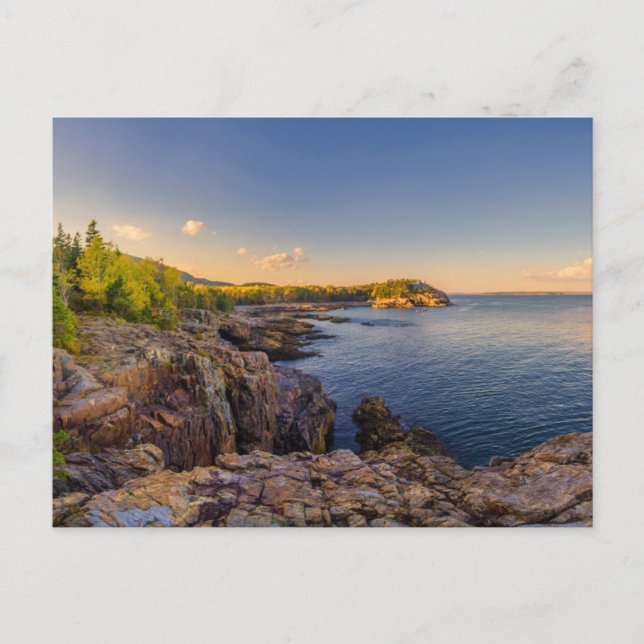 Coastline | Acadia National Park, Schooner Head Postcard (Front)