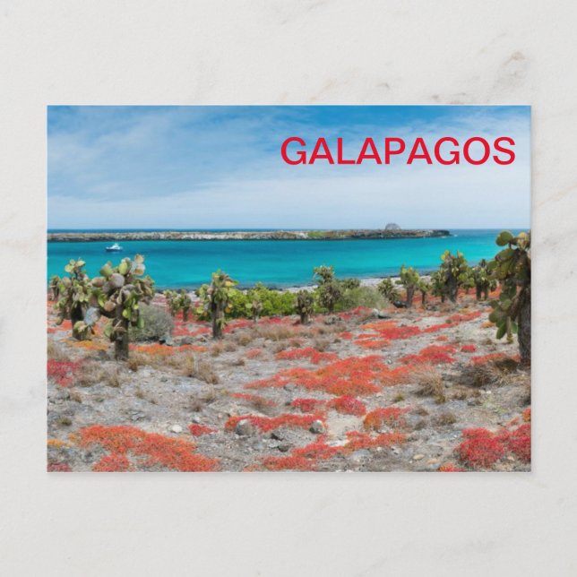 Coastline at Galapagos Postcard (Front)