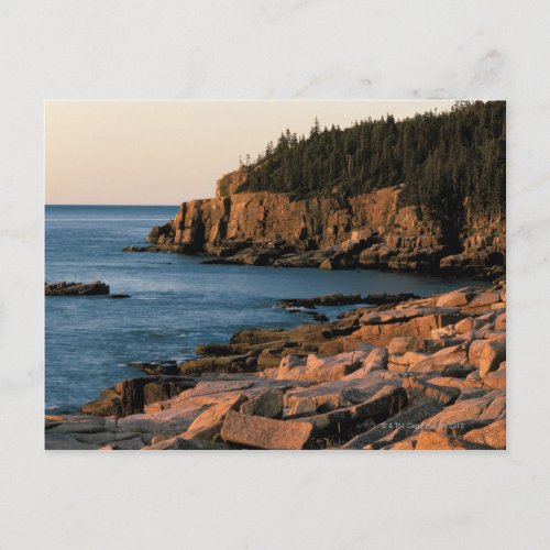 Coastline of Acadia National Park  Maine Postcard