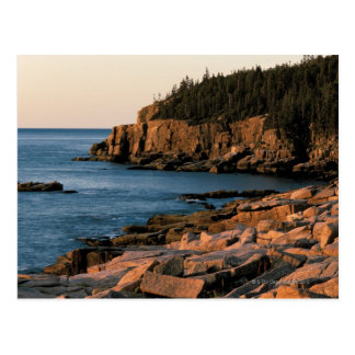 Maine Postcards | Zazzle