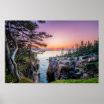 Coastline | Ravens Nest Acadia National Park Maine Poster at Zazzle