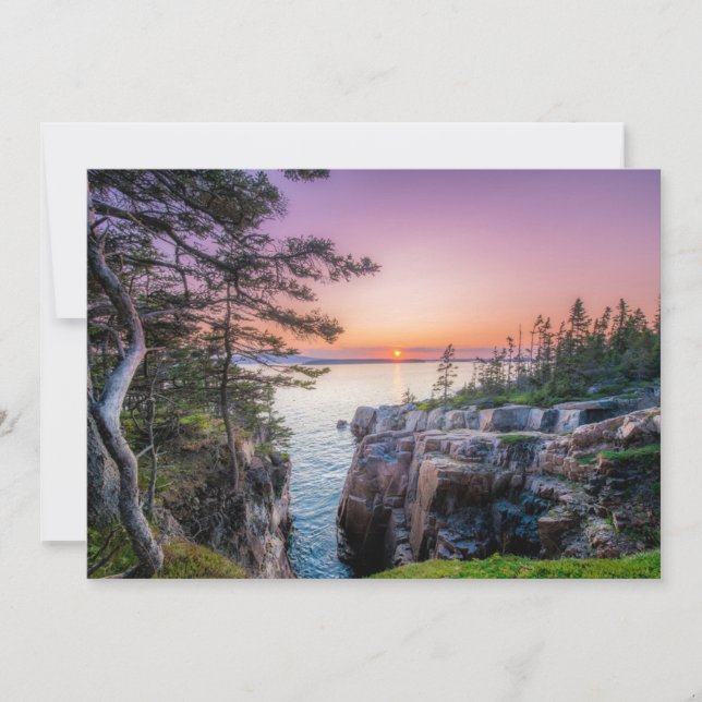 Coastline | Ravens Nest Acadia National Park Maine Thank You Card (Front)