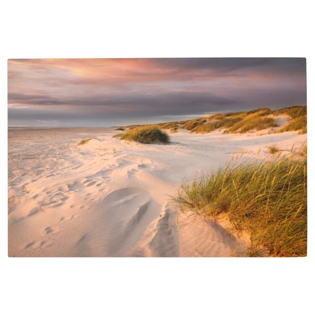 Coastline | Saltum Beach, Denmark Metal Print (Front)