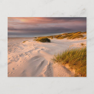 Coastline Saltum Beach, Denmark Postcard