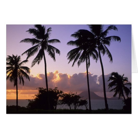 Coastline St. Kitts Cards (Front Horizontal)