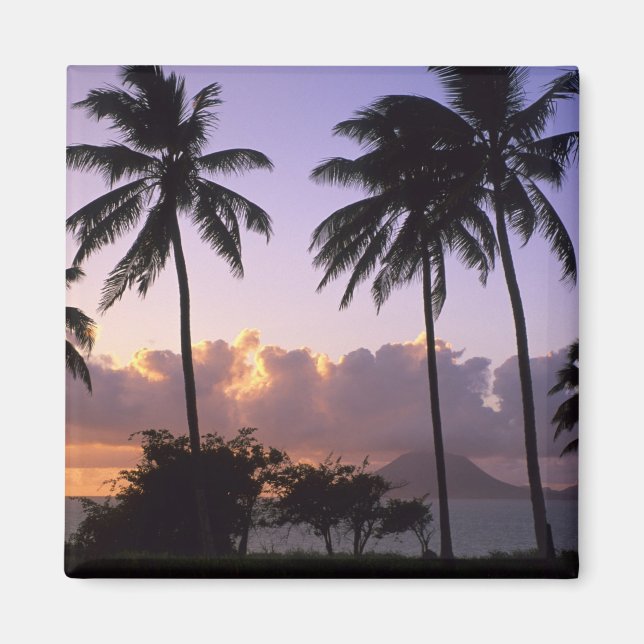 Coastline St. Kitts Magnet (Front)