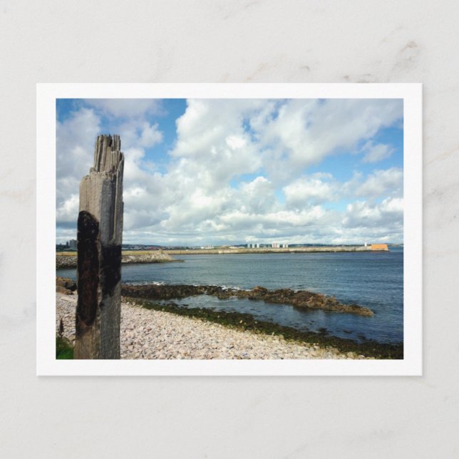 Coastline View Postcard (Front)