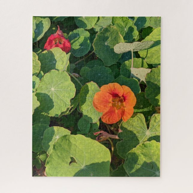 Coastways nasturtiums 520-piece puzzle (Vertical)