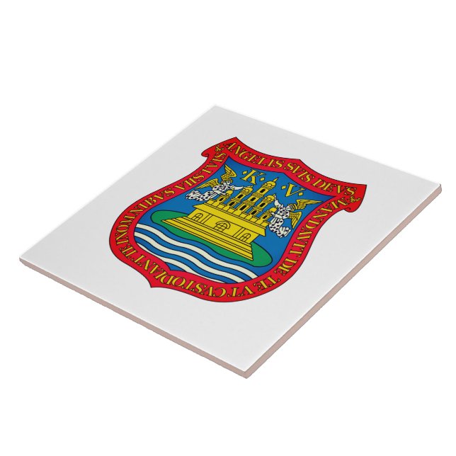 Coat of Arms of Puebla de los Ángeles, México Ceramic Tile (Side)