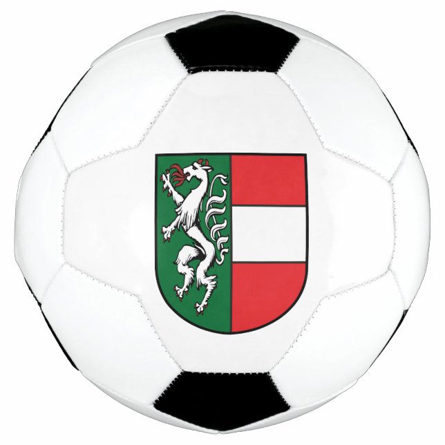 coat of arms Steiermark Fürstenfeld Soccer Ball (Front)