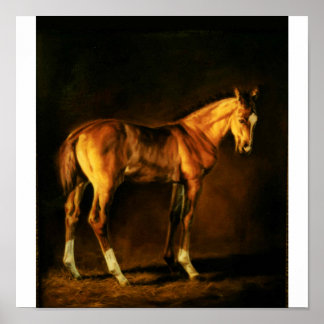 "COAT OF MANY COLORS" BY LONNI CLARKE POSTER