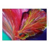 Coat of Many Colors Cards (Front Horizontal)