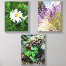Coated canvas, floral pattern
