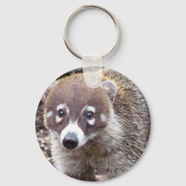 Coati Basic Button Keychain (Front)