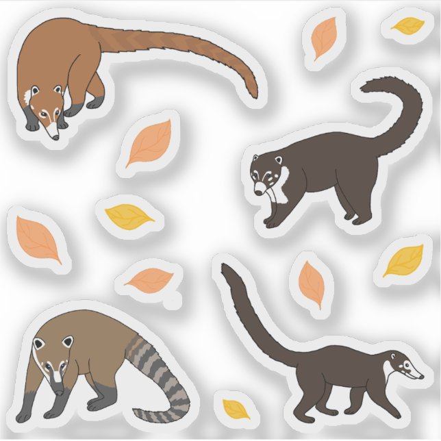 Coatis Sticker (Front)