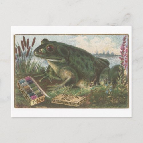 Coats Thread Frog Trading Card