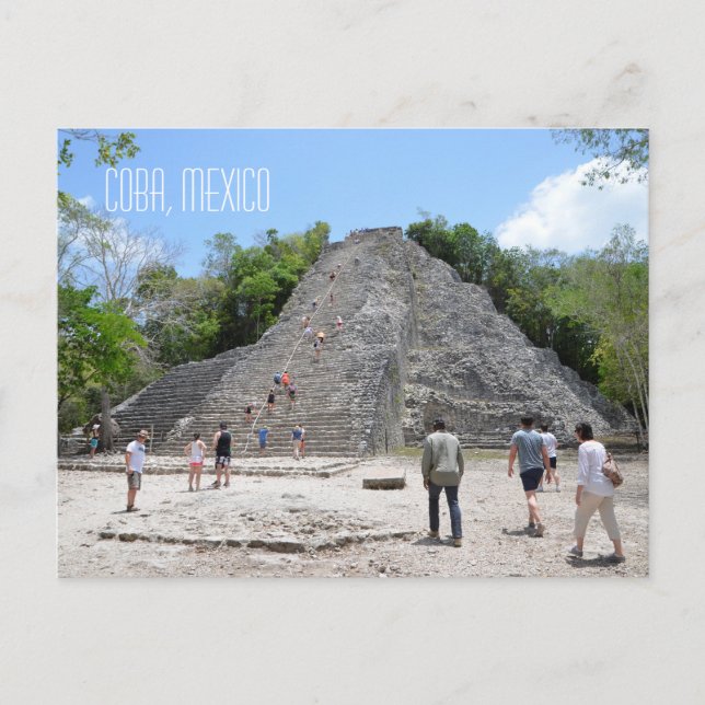Coba Pyramid Mayan Ruins Yucatan Peninsula Mexico Postcard (Front)