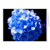 Cobalt blue floral elegant blue hydrangeas  (Front Horizontal)