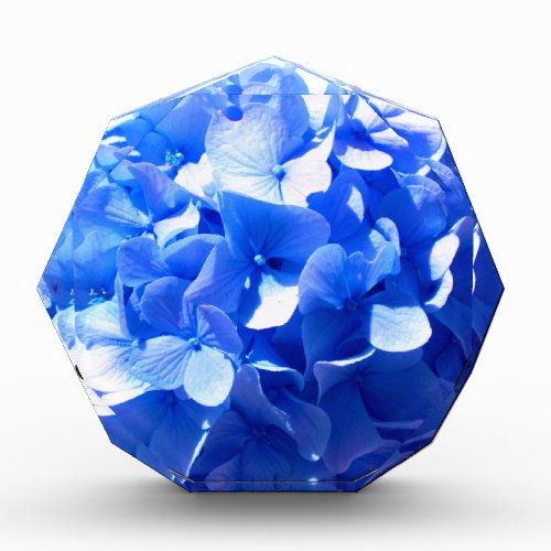 Cobalt blue floral elegant blue hydrangeas  acrylic award