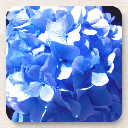 Cobalt blue floral elegant blue hydrangeas  beverage coaster