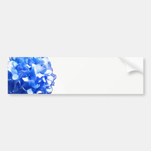 Cobalt blue floral elegant blue hydrangeas  bumper sticker