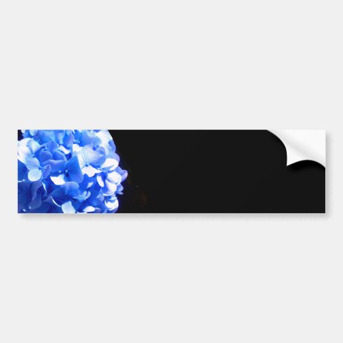 Cobalt blue floral elegant blue hydrangeas  bumper sticker